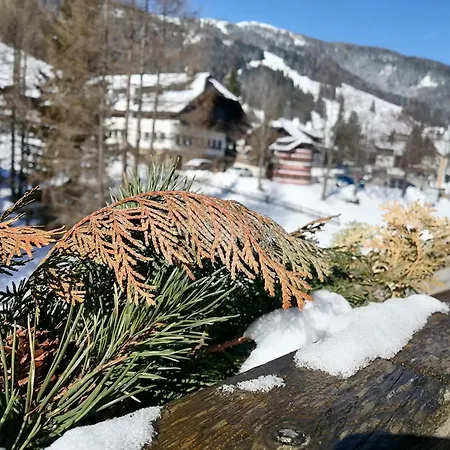 Appartamento Moni / Golf&ski - 9 Bad Kleinkirchheim